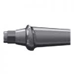 DXL- Aesthetic Titanium Abutment GH 1mm
